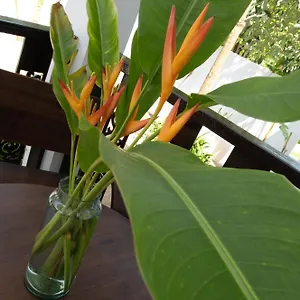  Villa Chalisa Thailand